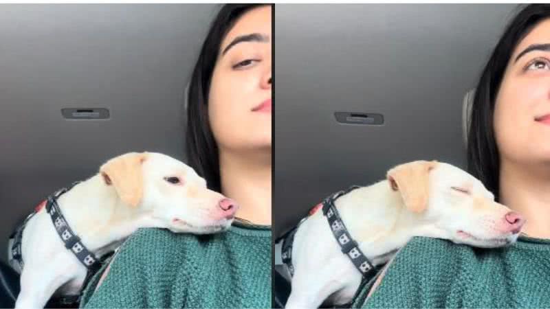 Reprodução / TikTok @ludmillatheodoro