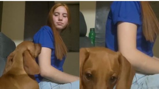 Reprodução / TikTok @maya_asalsicha