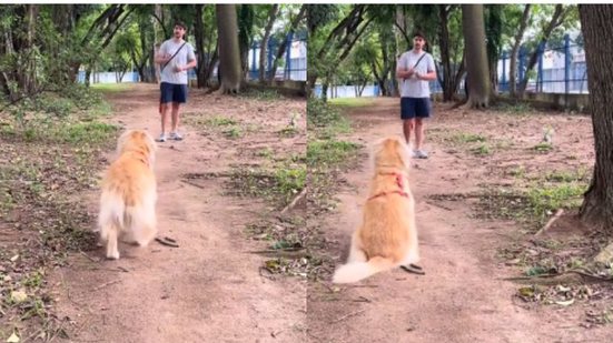 Reprodução//TikTok @alpinogolden
