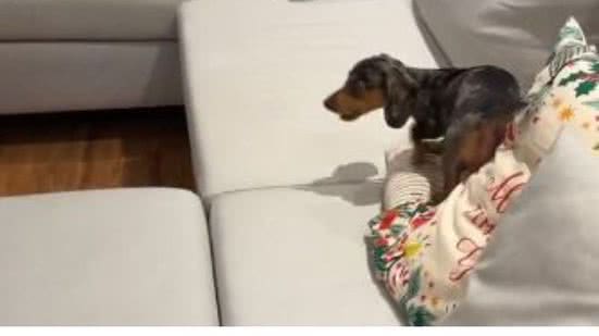 Reprodução/TikTok @umgabrielcastro