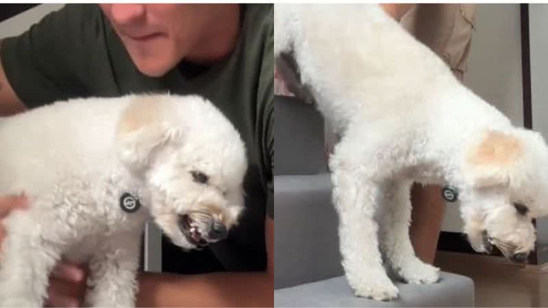 Reprodução//TikTok @aqueleph