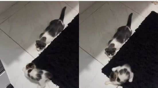 Reprodução// TikTok @danicruz20011