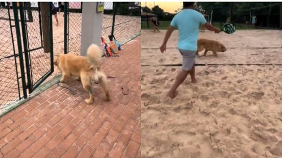 Reprodução//TikTok @rafaellaperalta