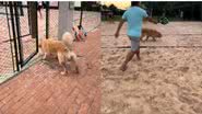 Reprodução//TikTok @rafaellaperalta