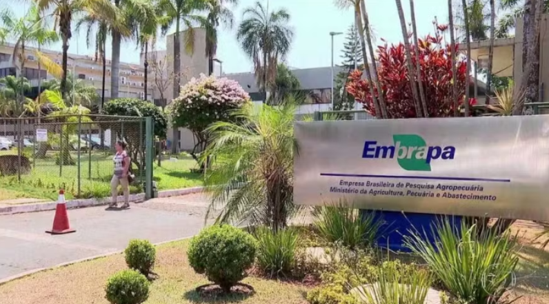 Divulgação / Embrapa