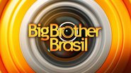 Reprodução/ TV Globo