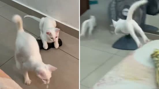 Reprodução / Redes sociais