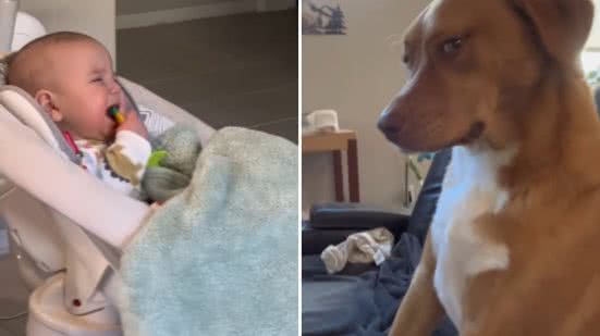 Reprodução / Redes sociais