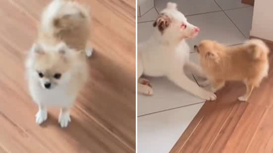 Reprodução / Redes sociais