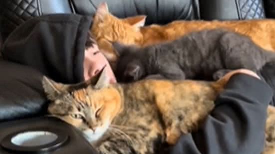 Reprodução / Redes sociais