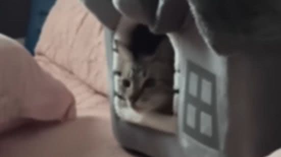 Reprodução / Redes sociais