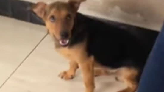 Reprodução / Redes sociais