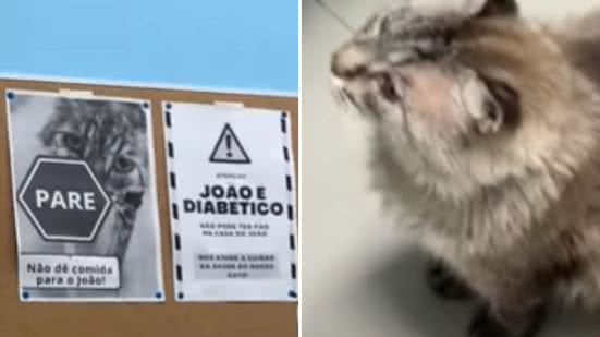 Reprodução / Redes sociais