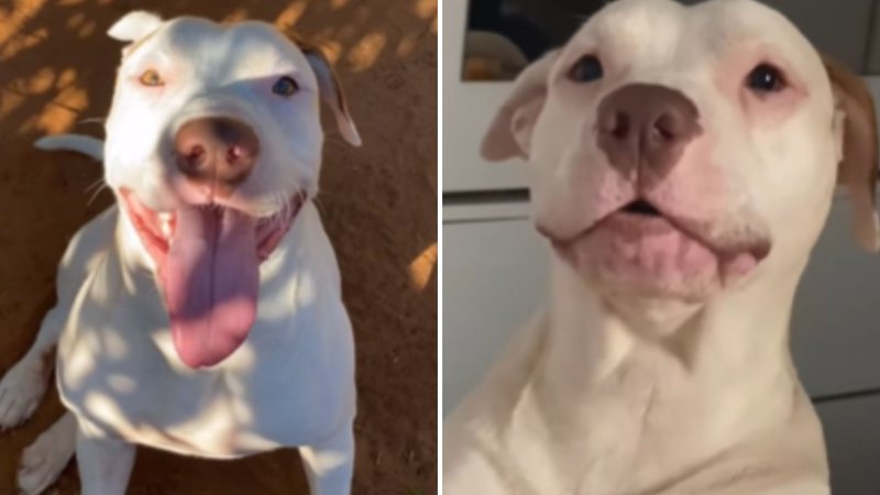 Reprodução / Redes sociais