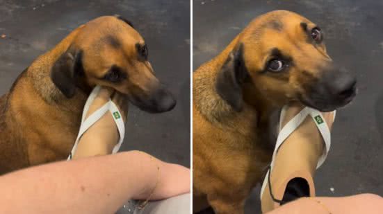 Reprodução / Redes sociais