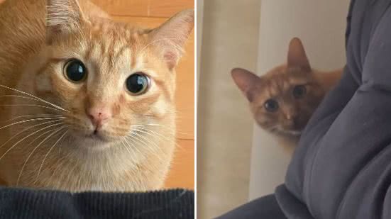 Reprodução / Redes sociais