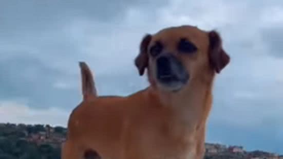 Reprodução / Redes sociais