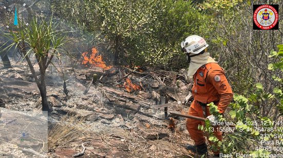 Reprodução / Corpo de Bombeiros