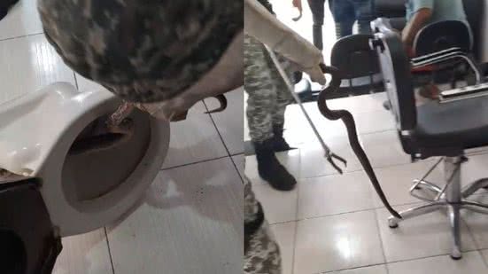 DivulgaçãoGAMA