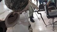 DivulgaçãoGAMA