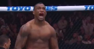Reprodução/UFC