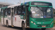 Alexandre Souza | Ônibus Brasil