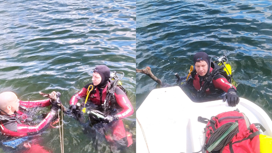 Divulgação Corpo de Bombeiros