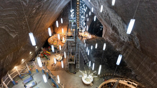 Divulgação / Freepik