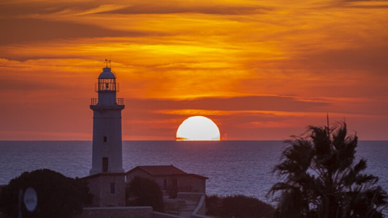 Divulgação / Freepik