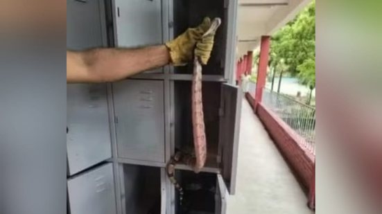 Reprodução/Corpo de Bombeiros