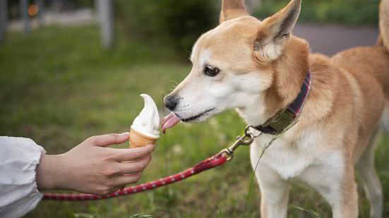 Ilustrativa / FreePik