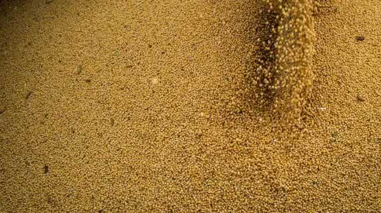 Wenderson Araujo/CNA