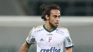 Divulgação/Palmeiras