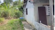 Reprodução/ MST
