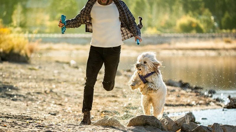 Divulgação/Mars Petcare