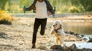 Divulgação/Mars Petcare