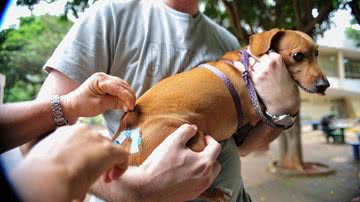 Marcelo Camargo / Agência Brasil