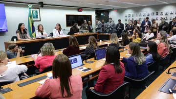 Michel Jesus/ Câmara dos Deputados