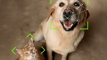 Petvation / Divulgação