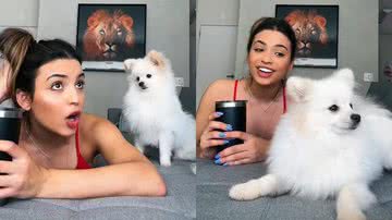 Reprodução/TikTok @eithailima