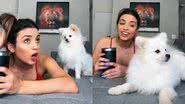 Reprodução/TikTok @eithailima