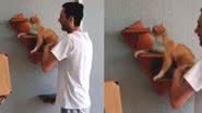 Reprodução / TikTok