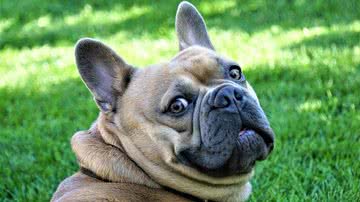 Foto Ilustrativa/Pixabay