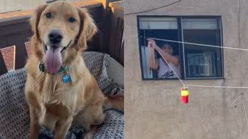 Reprodução/TikTok @itscobywest