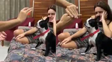 Reprodução/Instagram @phineas.boston