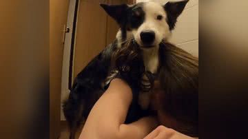 Reprodução/TikTok @nikybylinska