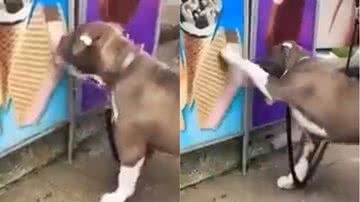 Reprodução/Twitter @buitengebieden