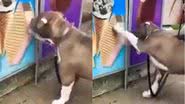 Reprodução/Twitter @buitengebieden