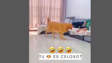 Reprodução / Instagram