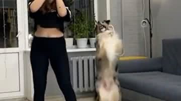 Reprodução/ Vídeo